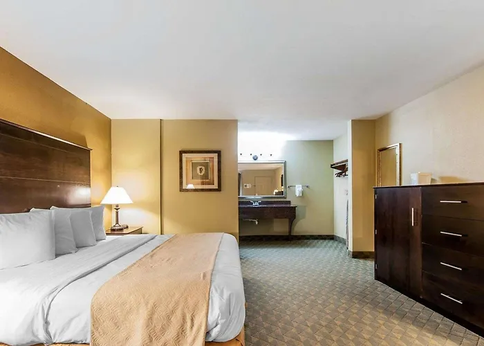Quality Inn & Suites Bremen